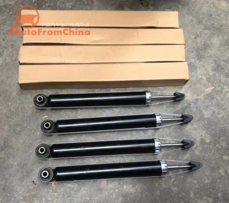 BYD E6 shock absorbers