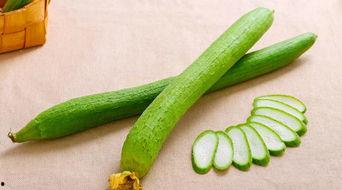 宝宝吃的什么瓜,缤纷瓜果营养盛宴