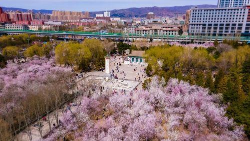 意溪网红地,打卡新宠，魅力无限的风情画卷