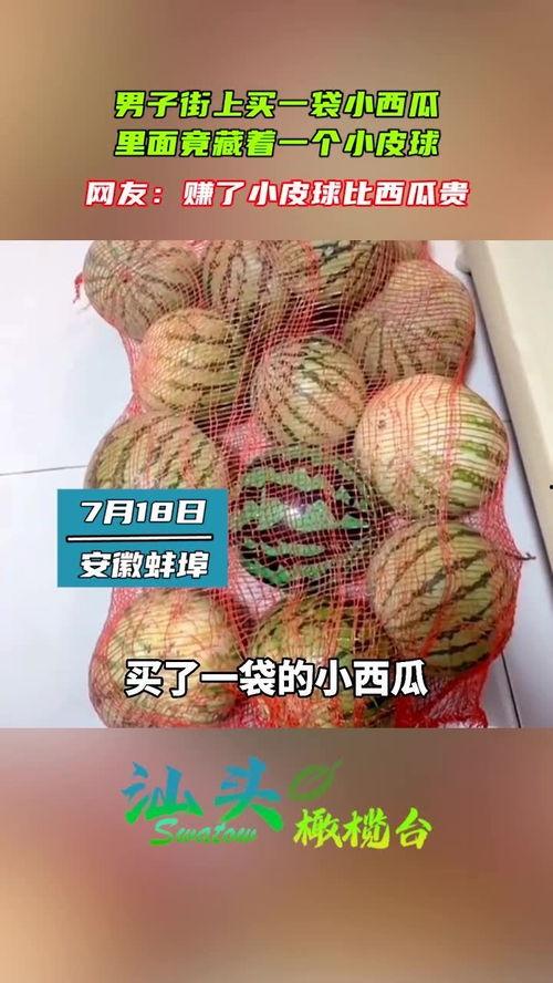 小皮球瓜怎么吃,小皮球瓜的多样食法探索