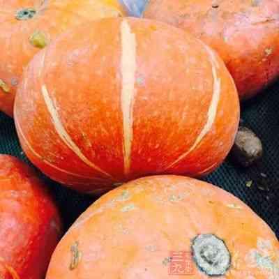 定西头条 南瓜种植,南瓜种植新篇章，丰收在望的绿色致富路