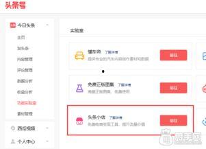 头条小店销量最多的店铺,揭秘头条小店最受欢迎店铺的秘密