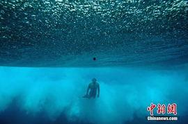 海浪电影周明星,星光熠熠，璀璨星光下的激情演绎