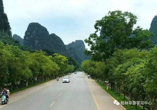 阳朔一线新闻头条,聚焦最新动态，解码区域发展新篇章