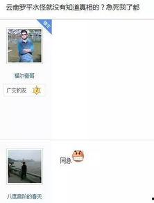 最新云南爆料视频,神秘事件引发热议