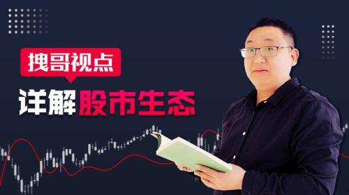 老安撕家爆料视频,一场家庭矛盾的激烈对决