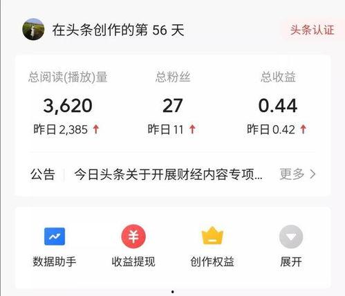 今日头条收益有什么标准,揭秘收益标准与提升策略