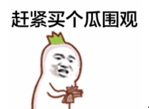 吃瓜群众路过直播,吃瓜群众路过，揭秘幕后花絮