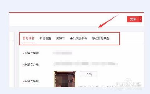 手机怎么修改头条账号,轻松修改头条账号信息