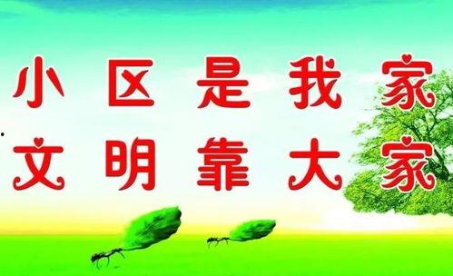 小区物业文明创建微头条,小区物业文明创建成果巡礼