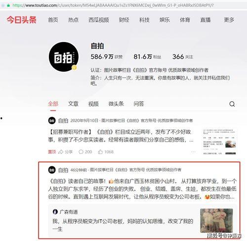 今日头条是谁投稿的,揭秘投稿背后的故事