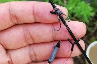 网红子线哪种好,哪种才是最佳选择？